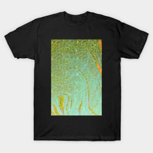 Duckweed CARD T-Shirt